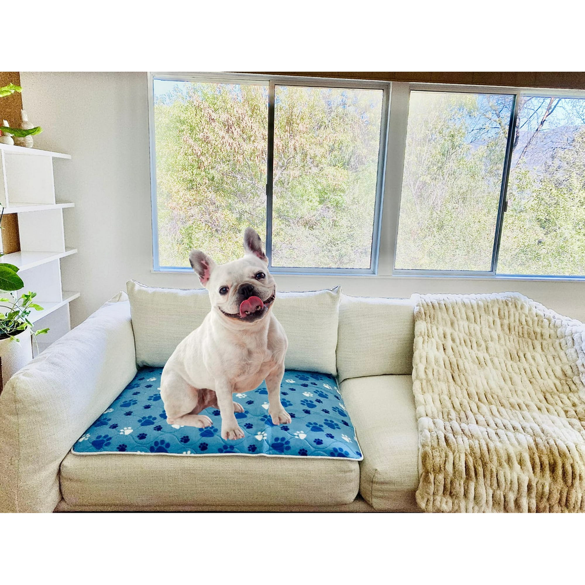 Genérico - Set 2 Alfombra Enfriamiento Refrescante Colchon Perros Lau