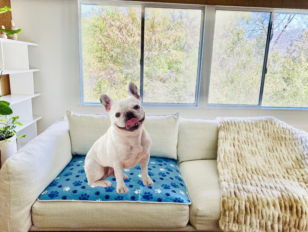 Genérico - Set 2 Alfombra Enfriamiento Refrescante Colchon Perros Lau