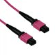 thumbnail image 3 of UI 3mt MPO-MPO 12-Fibras Type-B OM4 Multimodo MM Jumper Fibra LSZH, 3 of 4