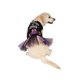 thumbnail image 1 of Disfraz Mascota Halloween Tutu M, 1 of 2