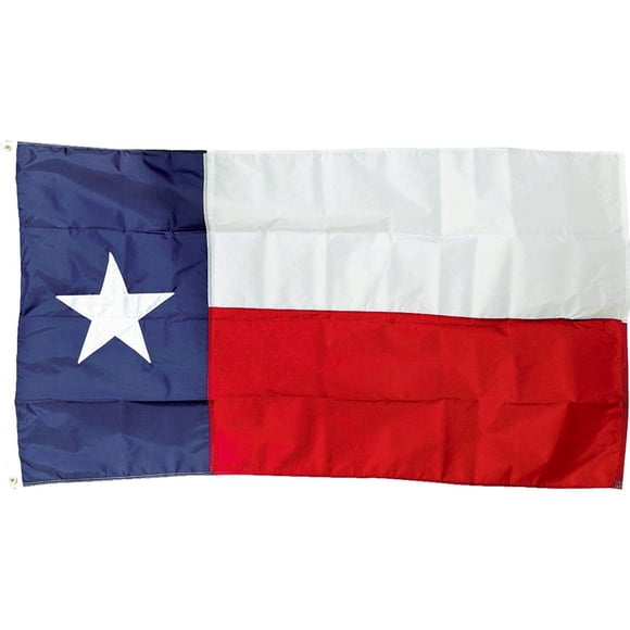 Banner Valley Forge, bandera de Texas, de nailon, 91 x 152 cm, fabricada en EE. UU.