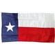 thumbnail image 1 of Banner Valley Forge, bandera de Texas, de nailon, 91 x 152 cm, fabricada en EE. UU., 1 of 2