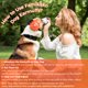 thumbnail image 5 of Protectores auditivos anti‑ruido para perros Famikako, 5 of 6