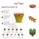 thumbnail image 3 of Set de 3 Maceta Kony 15cm Morena Mamey y sus platos, 3 of 3
