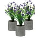 thumbnail image 1 of Plantita Artificial Deco Altura .28 Cm.., 1 of 2