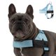 thumbnail image 1 of Arnés para perro Dog Friendly Co. tamaño grande, azul cielo, 1 of 8