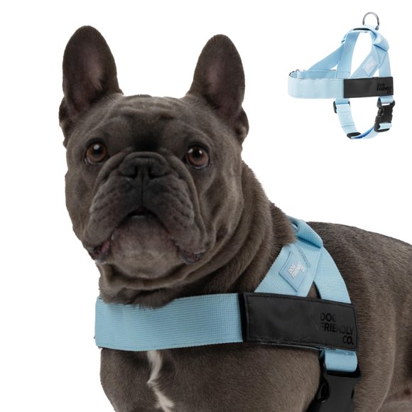 Arnés para perro Dog Friendly Co. tamaño grande, azul cielo