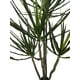 thumbnail image 2 of Árbol Yucca 183cm Artificial, 2 of 3