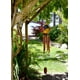 thumbnail image 2 of Carillón de viento con forma de pez cohasset hecho a mano de madera y bambú, 2 of 4