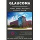 thumbnail image 1 of Majosta – Glaucoma: Lo que todo paciente debe saber, 1 of 1