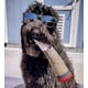 thumbnail image 3 of Juguete para perros Nestpark Doggy Doobie Plush Squeaky para todos los tamaños, 3 of 9