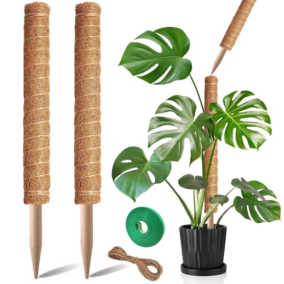 Tutor de musgo 2 unidades PLANTPOLEX, estacas de soporte para plantas de 53 cm