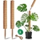thumbnail image 1 of Tutor de musgo 2 unidades PLANTPOLEX, estacas de soporte para plantas de 53 cm, 1 of 6