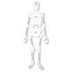 thumbnail image 2 of Puzzle Learning Resources Skeleton Floor, 15 piezas, 4 pies, 2 of 3
