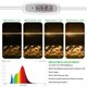 thumbnail image 4 of Tira de luces LED para cultivo RWNTAO, espectro completo, 20 W, paquete de 2, 4 of 8