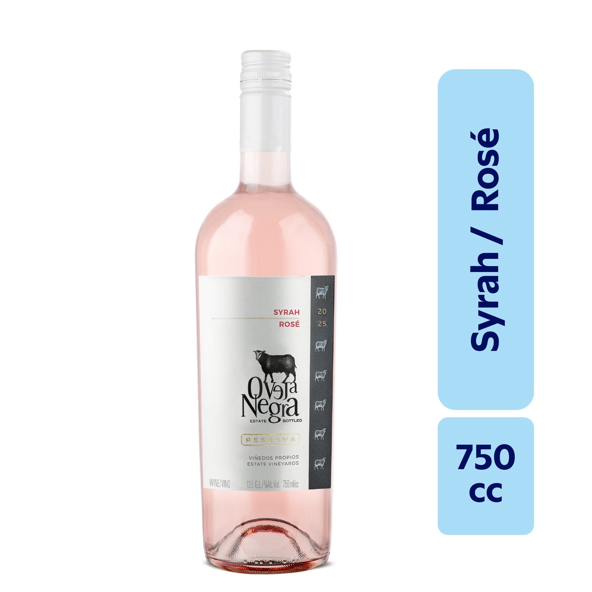 Vino Rosé Syrah Reserva 12° Botella 750 ml Oveja Negra