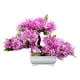 thumbnail image 2 of Árbol De Bonsái Artificial, Decoración De Plantas Artificiales Para Granja, Estante De Oficina, Color Rosa, 2 of 3