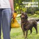 thumbnail image 3 of Bolsas para excrementos de perro PAWSHOLIC biodegradables, 270 unidades, 3 of 9