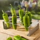 thumbnail image 1 of 1pc,Barbecue Chili With Hole Rack, Stainless Steel Outdoor Barbecue Grill Rack, Chicken Leg Barbecue Grill Outdoor Barbecue Tools, Kitchenware Supplies, BBQ Accessories, 1 of 4