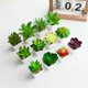 thumbnail image 5 of suxuMhao Suculentas de Follaje Artificial, 6 Pzas Planta Falsa de Interior con Maceta, Plantas Falsas Suculentas Artificiales, Verde/blanco/rojo, 2.1x1.8in, Plantas Artificiales para Decoración Del, 5 of 5