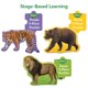 thumbnail image 5 of Skillmatics Rompecabezas Paso a Paso – Juguetes y Juegos para Niños Pequeños, 40 Piezas, 5 of 8