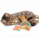 thumbnail image 5 of Hierba gatera de felpa arrugada SmartyKat Silly Swimmers de Cat Toys (2), 5 of 7