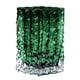 thumbnail image 2 of Soporte De Planta De Terrario De Florero De Vidrio Para Mesa De Comedor Sala De Estar Interior Verde, 2 of 5