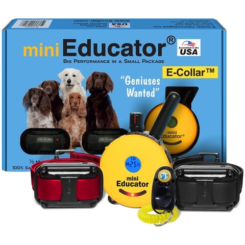Collar Eléctrico Recargable Dog Trainer Educator Et-302-1/2 Millas
