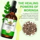 thumbnail image 3 of Aceite de moringa Shuangjia, 60 ml, 2 unidades, puro, natural, orgánico, prensado en frío, 3 of 3