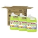 thumbnail image 1 of Limpiador de pisos Mr. Clean Professional Concentrate 3,78 L, 1 of 7