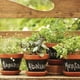 thumbnail image 2 of Maceta Kony 11cm Pizarra Cilantro, 2 of 2