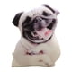 thumbnail image 1 of Cojín Para Perro, Almohada Para Regalo De Navidad, Decoración De Sofá, Accesorio De Juguete, Estilo A, 1 of 3