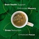 thumbnail image 2 of Té Brain Focus & Memory Orgánico 30 sobres Sin cafeína, 2 of 9