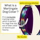 thumbnail image 5 of Collar para perro Country Brook Petz Tie Dye Flowers Nylon Martingale, 5 of 9