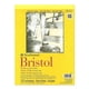 thumbnail image 1 of Bristol Strathmore 23x30 cm Suave 2 pzas, 1 of 1