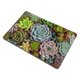 thumbnail image 3 of Cartel Metálico Desmarcar Plantas Suculentas 30x40cm, 3 of 6