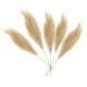 thumbnail image 4 of Decoración de ramas de hierba artificial , 5 tallos, 27 pulgadas, simulación de flores secas, decoración de habitación, ramo para jarrón, boda, d , marrón claro, 4 of 5