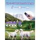 thumbnail image 2 of Collar de adiestramiento para perros BOUSNIC para 2 perros, impermeable, alcance 1000 m, 2 of 7