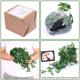 thumbnail image 4 of Plantas colgantes artificiales Whonline para decoración interior y exterior, 4 of 7