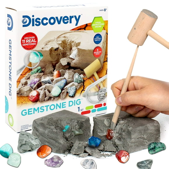 Kit científico Discovery Kids Gemstone Dig con 11 gemas reales