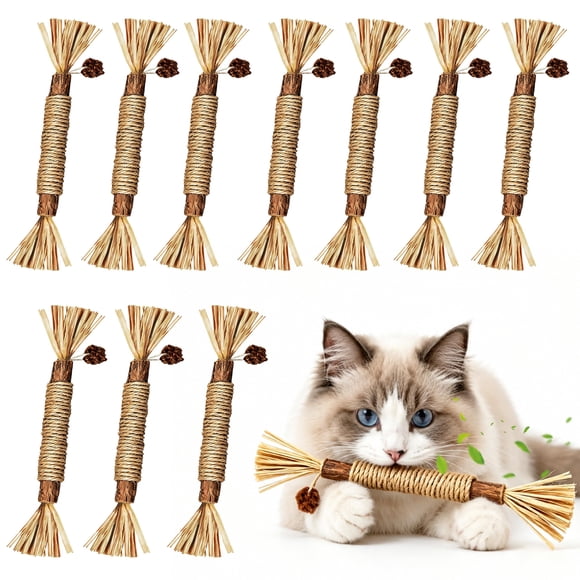 Juguete de Masticar para Gato BAWAN Palitos de Silvervine – Cuidado Dental