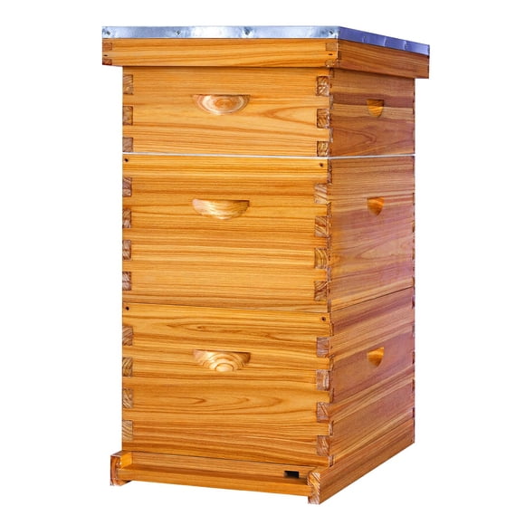 Kit de colmena Honey Lake de 8 cuadros, madera de cedro encerada