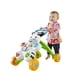 thumbnail image 2 of Caminador Fisher-Price Cebra de Aprendizaje Andadera Interactiva 6m+, 2 of 4