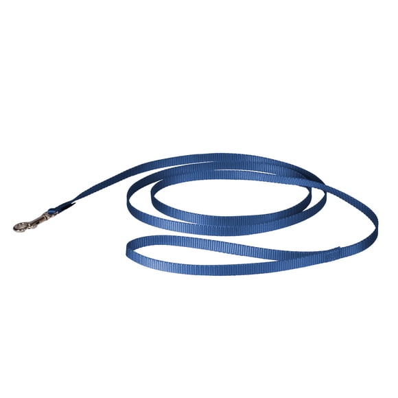 Correa PetSafe de Nylon 1,8 m Azul Real 3/8 pulg.