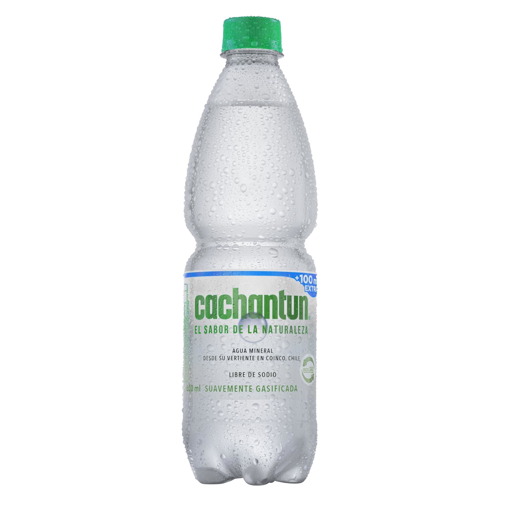 Agua Mineral Light Gas Botella 600 ml Cachantun