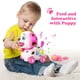 thumbnail image 5 of Juguete musical para cachorros ToddlerCley para niña/niño de 1 año con sonido, 5 of 6