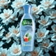 thumbnail image 3 of Vatika Aceite Capilar Coco y Hojas de Curry 250 ml, 3 of 3