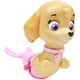 thumbnail image 1 of Juguete Swimways Paw Patrol Paddlin' Cachorros Skye, 1 of 3