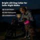 thumbnail image 3 of Collar para perros LIT&GO de 7 colores con luz y recargable USB‑C, 3 of 8