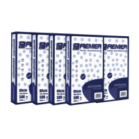 Pack X5 Resmas Oficio Premier